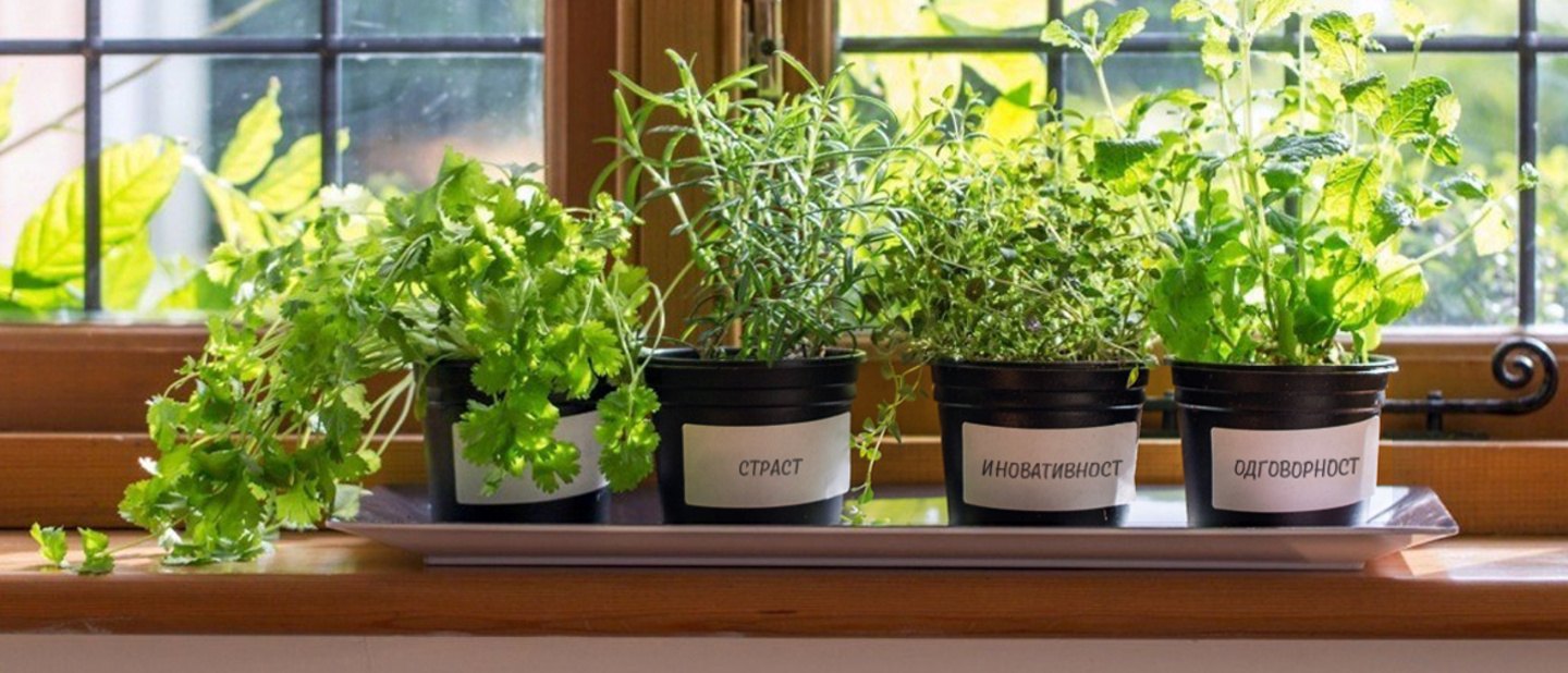 ФЛОТА И БИЗНИС